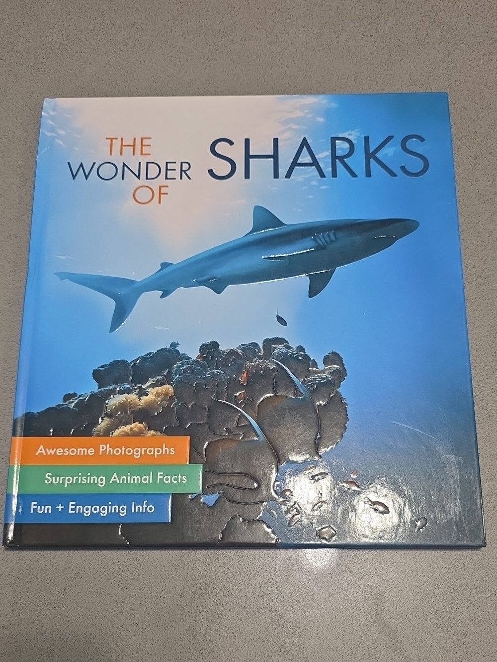 The Wonder of Sharks - Blue Hardcover Book